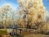 Winterwonderland-28